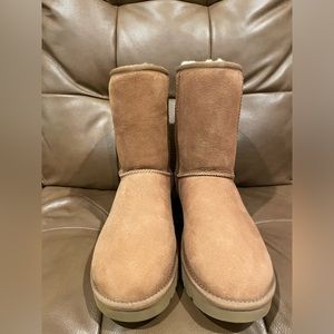 Women’s Classic II Ugg boots short